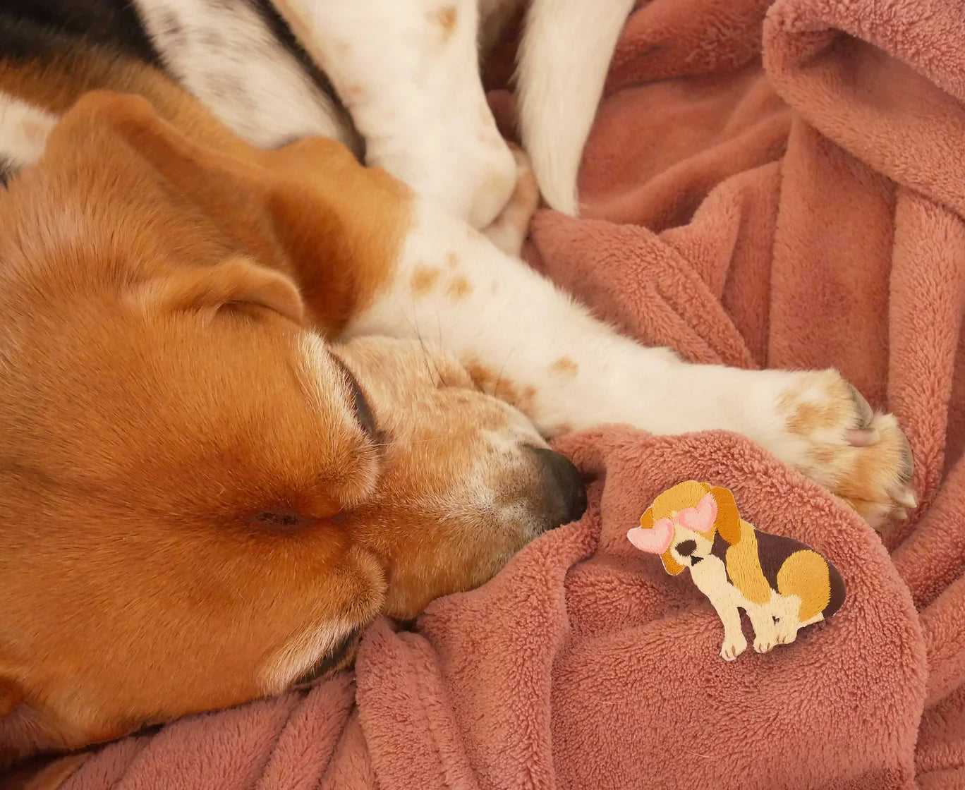 Patch termocollant Beagle