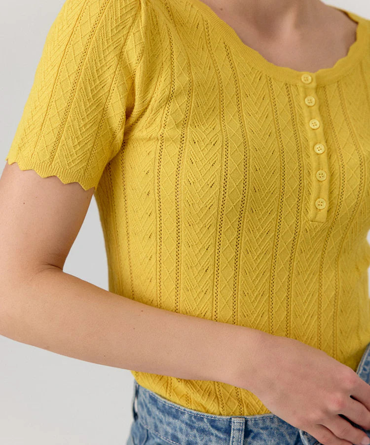 Pull Camelia
