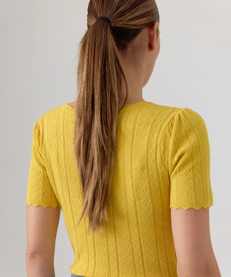 Pull Camelia