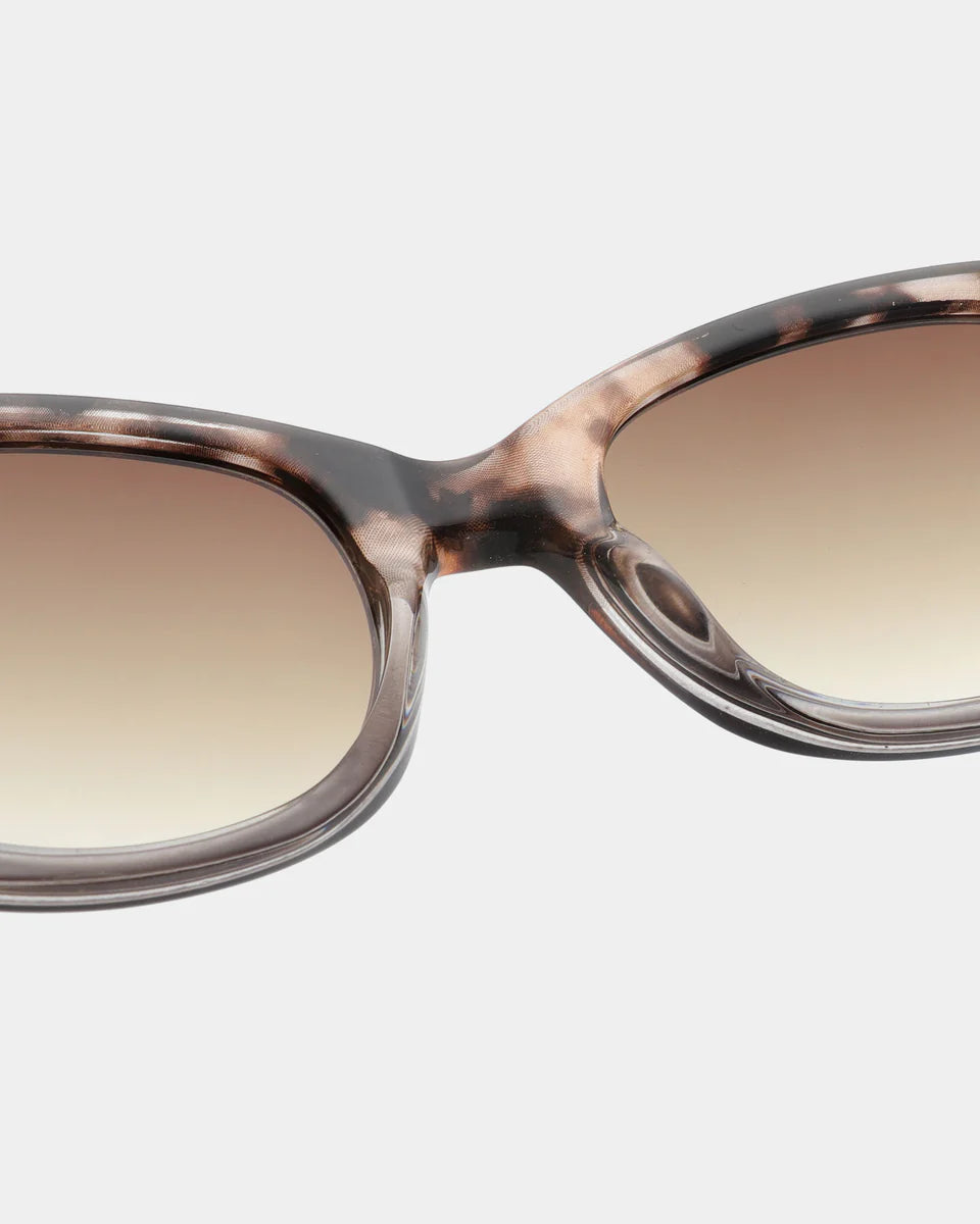 Anma Coquina / Grey Transparent