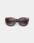 Lilly - Coquina